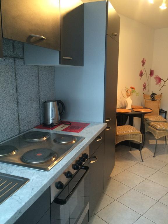 Anton-Ulrich Apartment Meiningen Extérieur photo